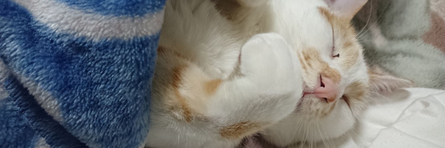 K7083K's profile banner image