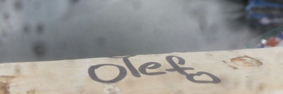OlefCoin's profile banner image