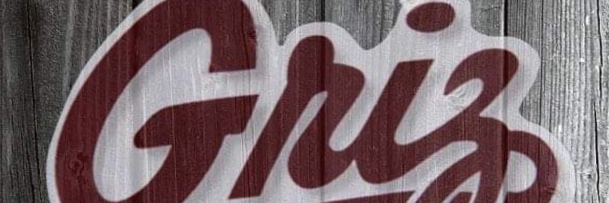 MDollickson's profile banner image