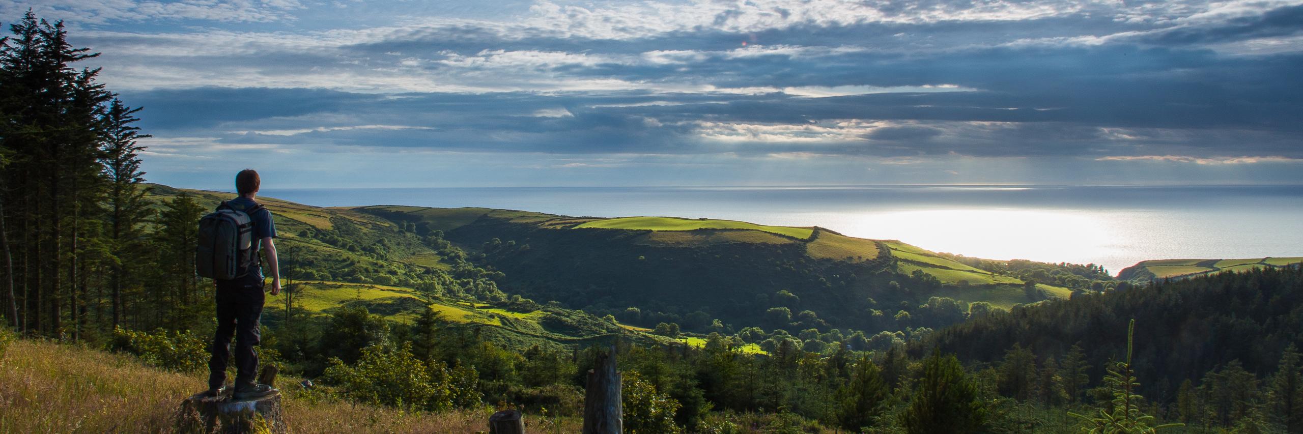 brookwassall's profile banner image