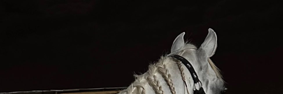Naïf banner