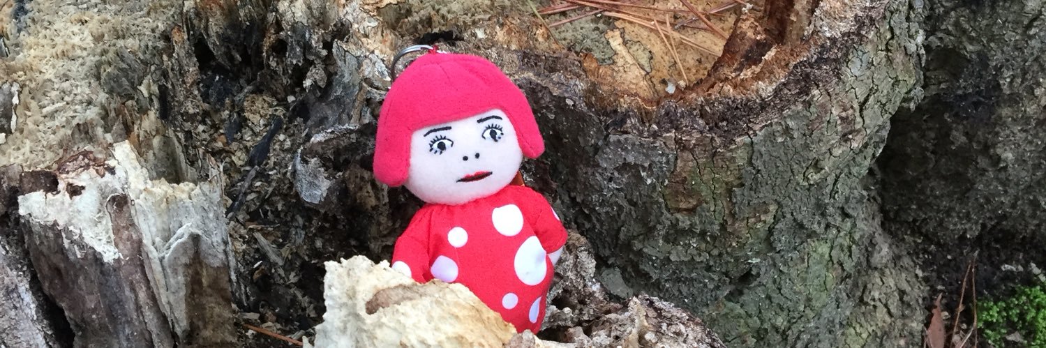 dondondododo's profile banner image