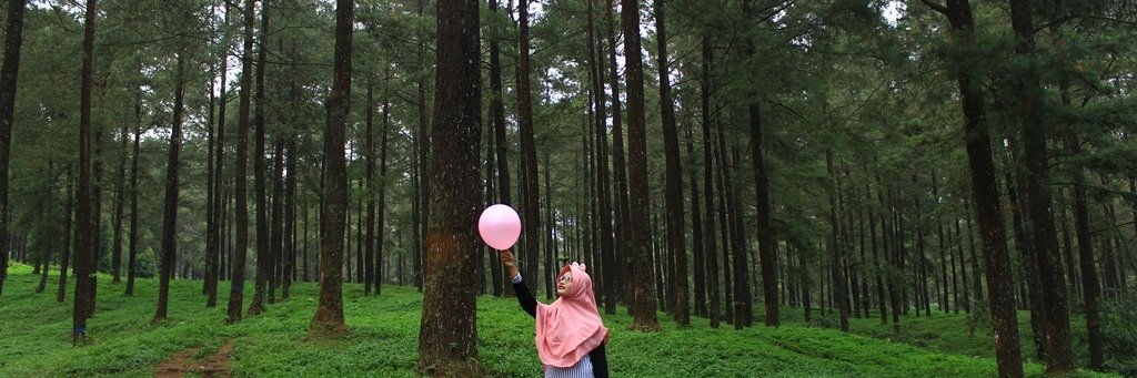 Pusahaho_'s profile banner image
