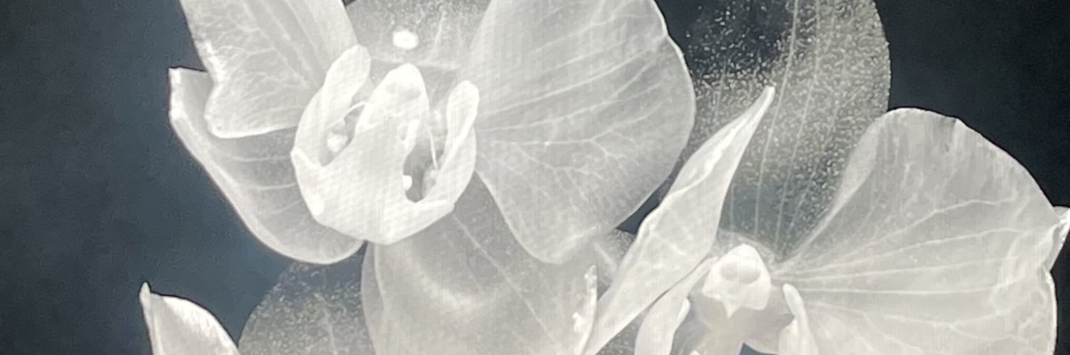 aicragrc's profile banner image