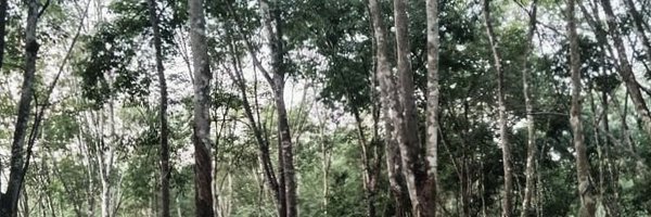 ipang90s Profile Banner