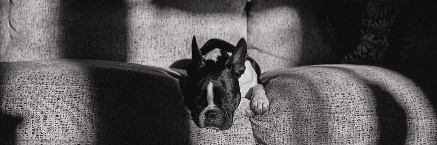 Ryan Hodge 👺 banner