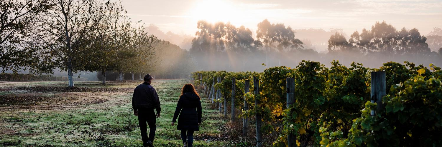 MargaretRiverWi's profile banner image