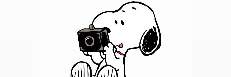 p0lliz's profile banner image
