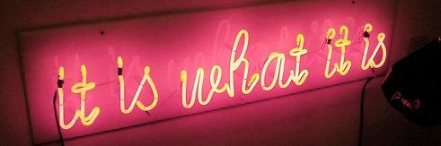 lins🌻 banner