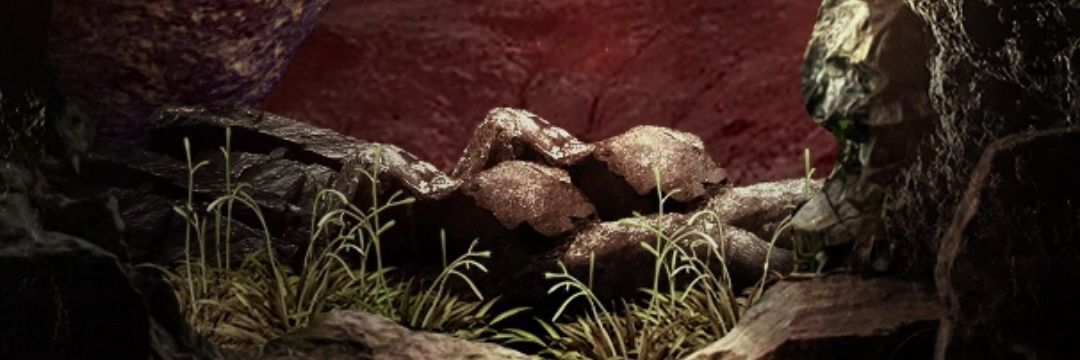 MariaGucci2's profile banner image