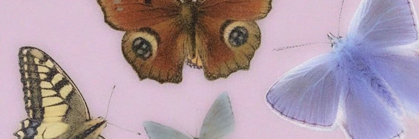 QueenBee_SC's profile banner image
