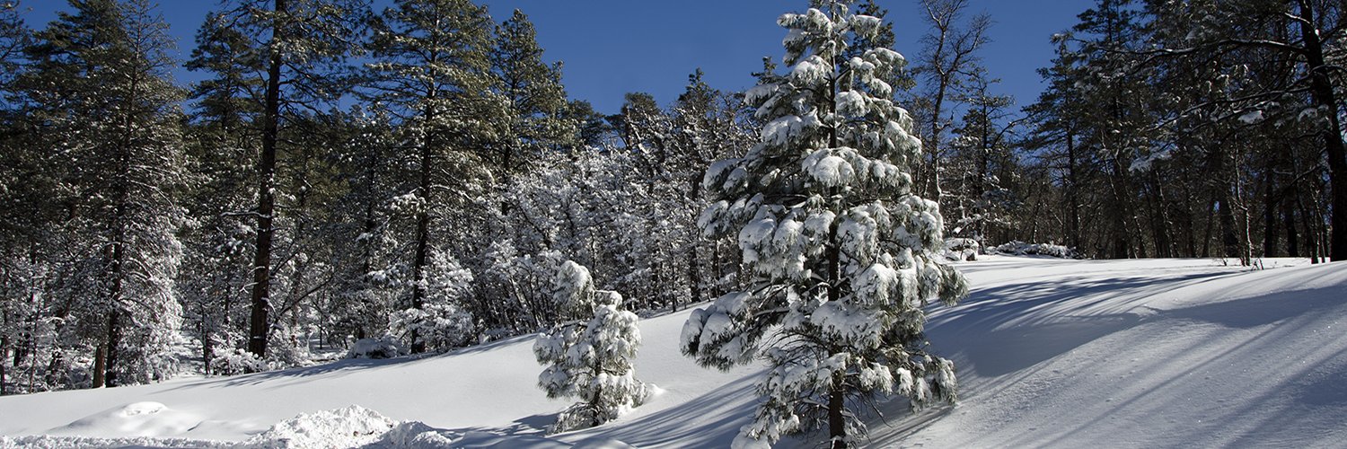 Kaibab NF's banner