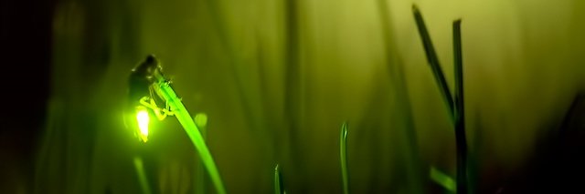 jcelmic's profile banner image