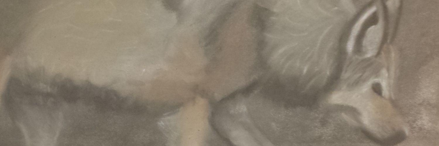 TylerPetty10's profile banner image