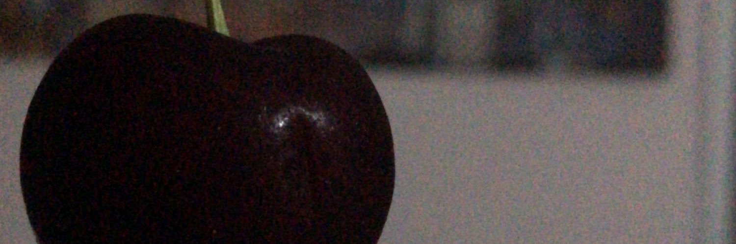 andarusanityoso's profile banner image