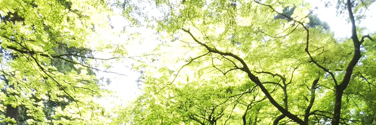 coco_nee922's profile banner image