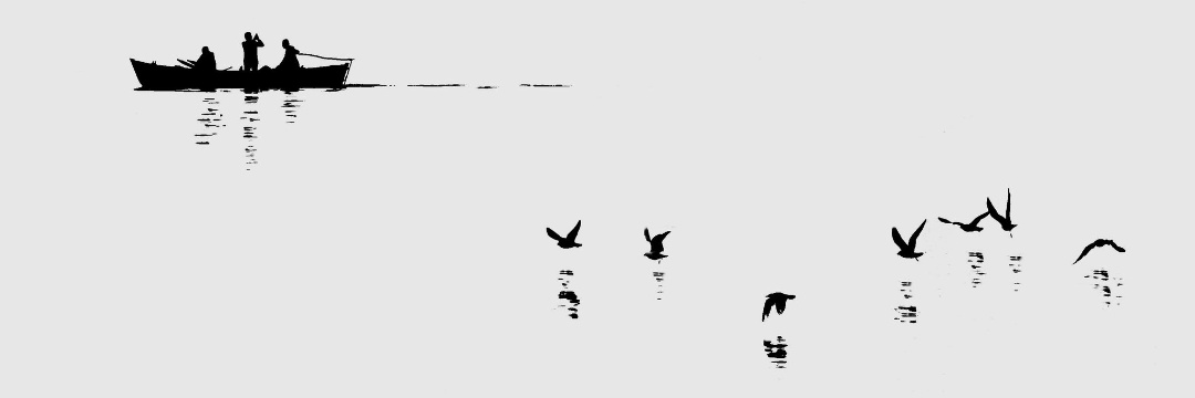 ola. banner
