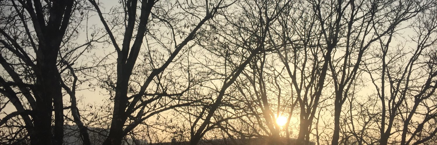 loosesdesign's profile banner image