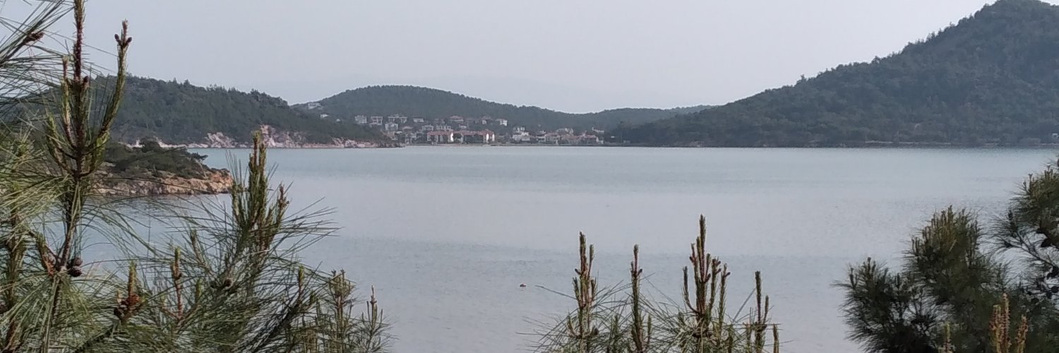 Dilara🇹🇷 banner
