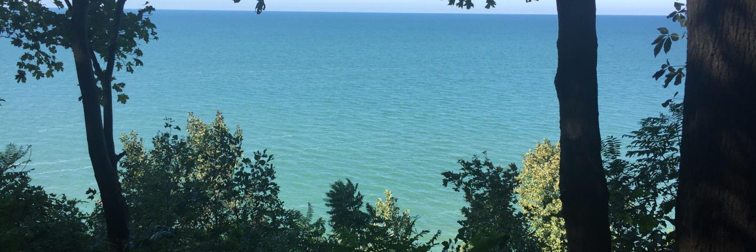 Kim_Thomas_'s profile banner image