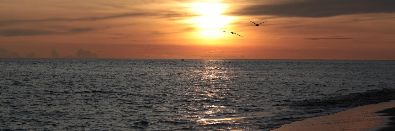 Dan Ostermayer banner