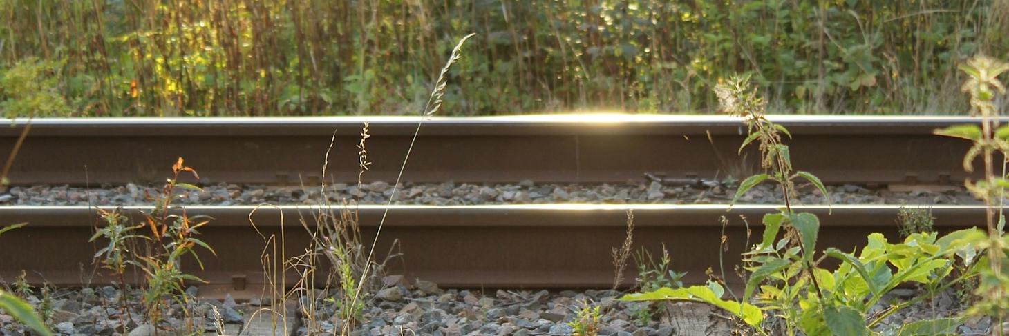 Sigrid Elsrud banner