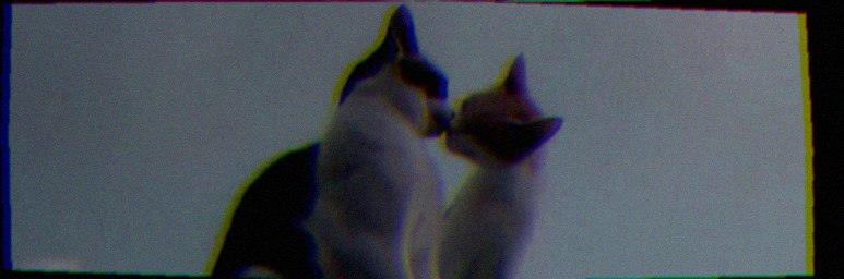 Defrne1's profile banner image