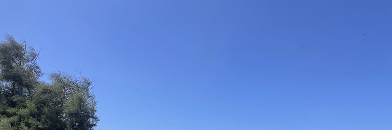 nachosolla's profile banner image
