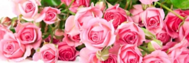 satorenatan's profile banner image