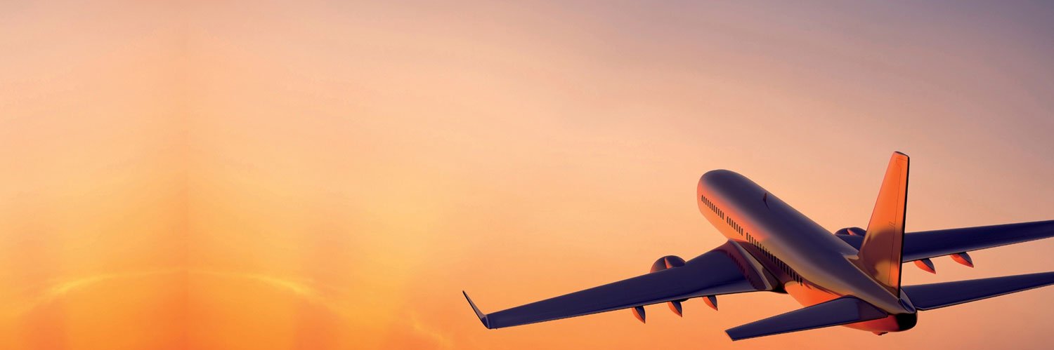 Veronique Combaud banner