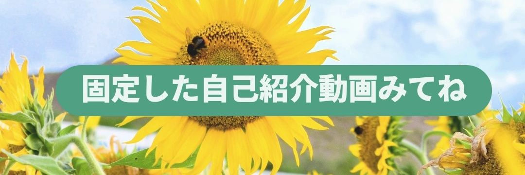 いωでぃご ❅ banner