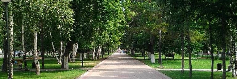 Серега Фетисов banner