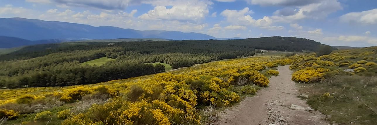 Alan Crawford banner