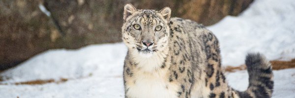 phillyzoo Profile Banner