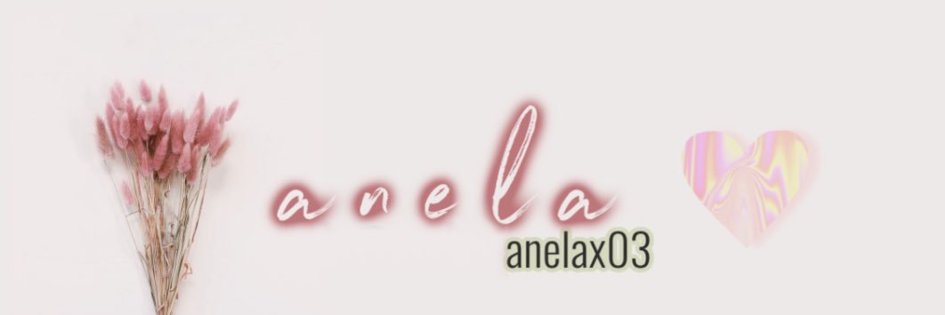 Anela🤍 Chicago UGC Creator banner