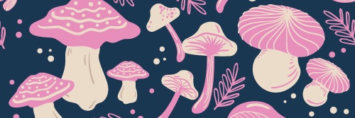 SammyWittmeyer's profile banner image