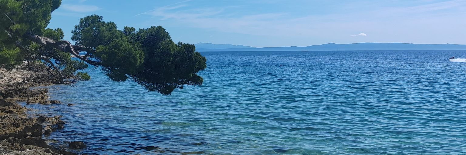 Uodanje's profile banner image