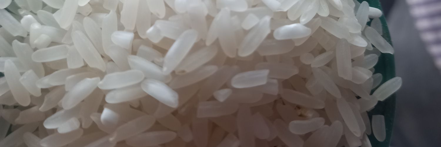 MrossoboyYuda's profile banner image