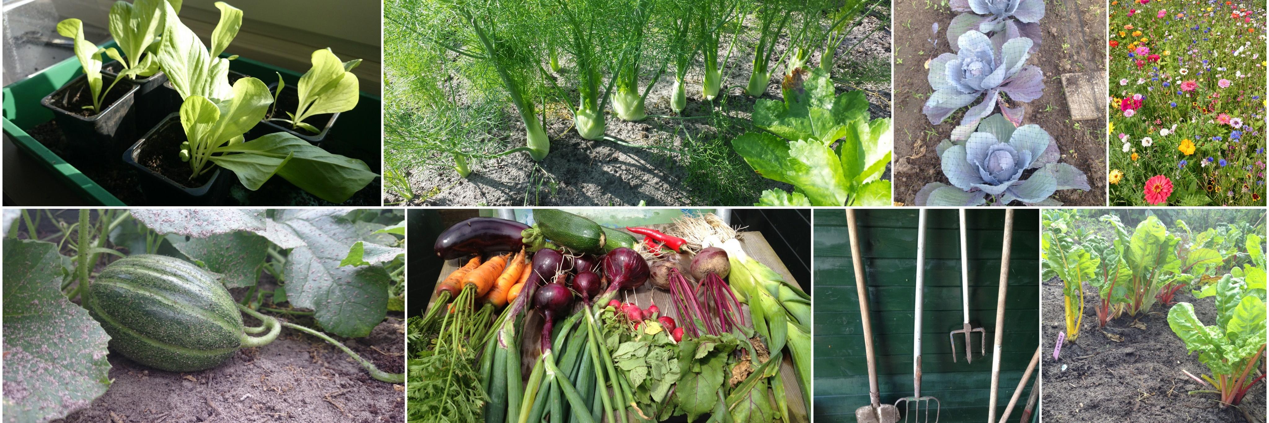 Moestuin Weekplanner banner