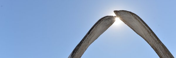 ASRC_AK Profile Banner