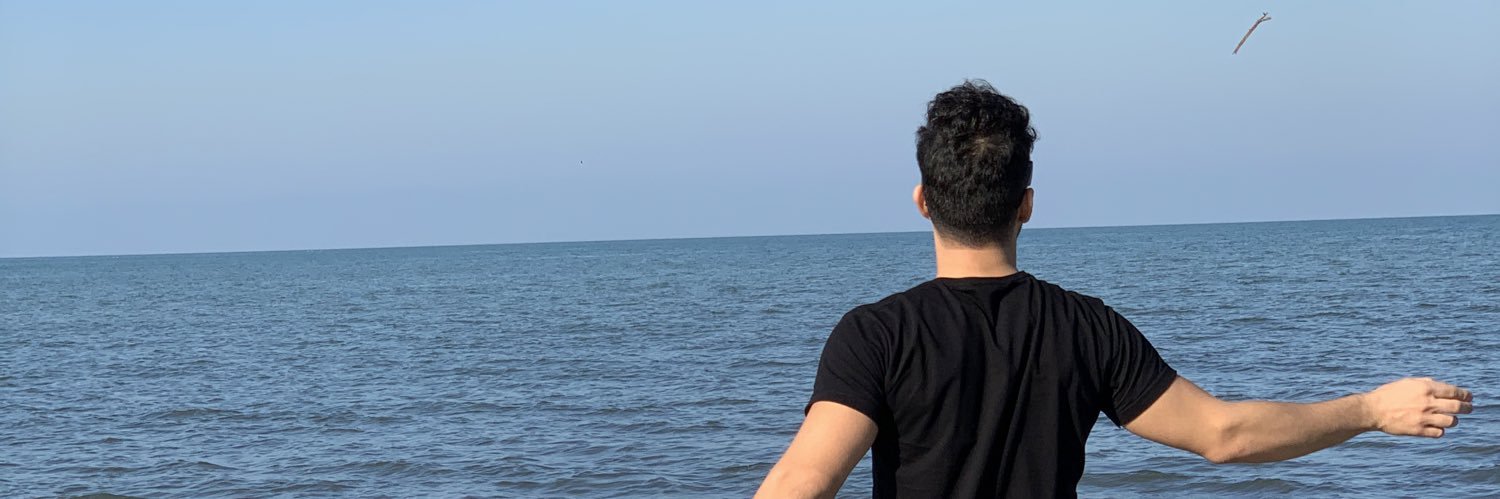 teimourrr's profile banner image