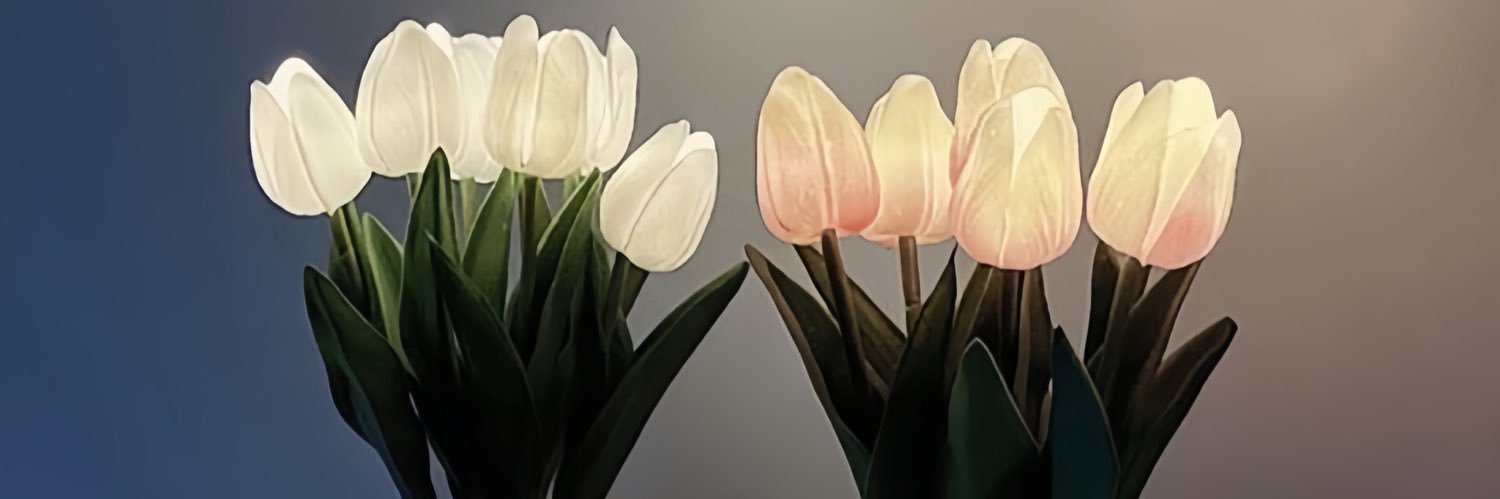 leylaya234's profile banner image