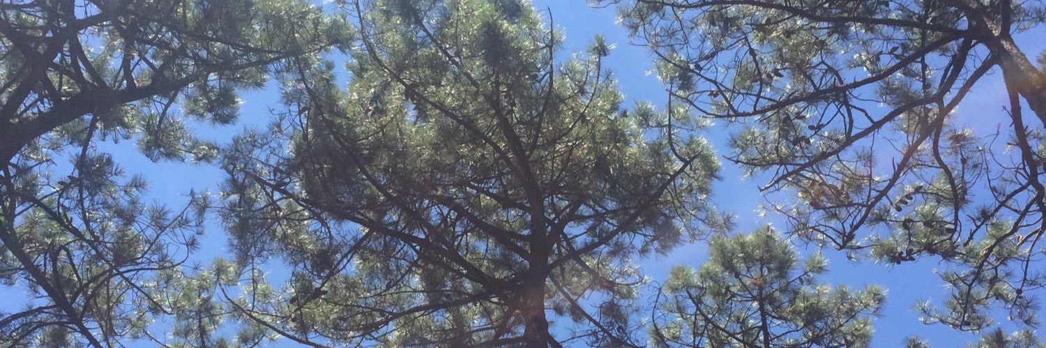 Audrey Arcachon banner