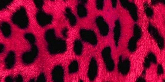 _cindynoviani's profile banner image