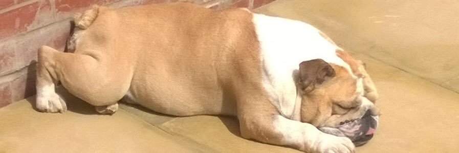 loued52's profile banner image