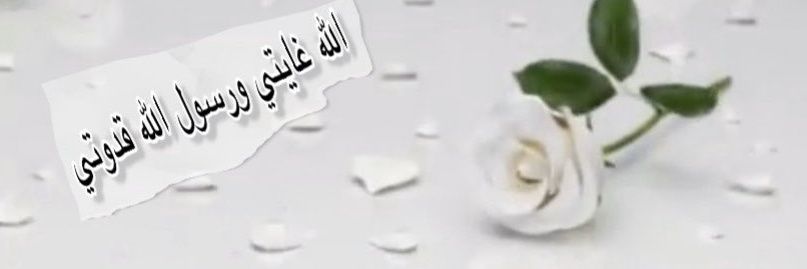 أم زياد.. دخول متقطع جدًا جداً ✋ 🌹🌱 banner