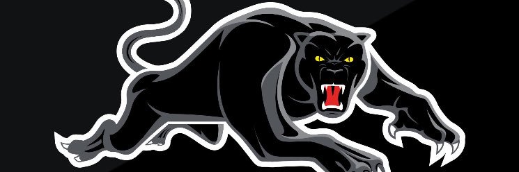 Panthers321's profile banner image