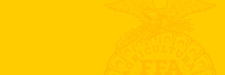 Denton Guyer FFA banner