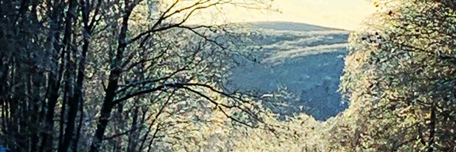 Lisa Edwards banner
