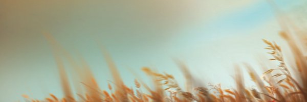 Jorgesinmas Profile Banner